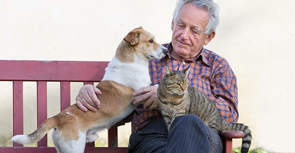 Älterer Mann sitzt auf einer Bank mit einem Hund und einer Katze
