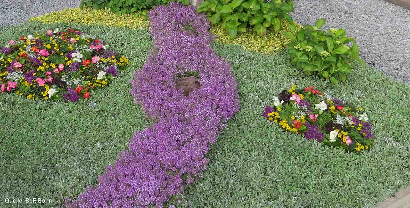 Sommergrab mit lila Blumen