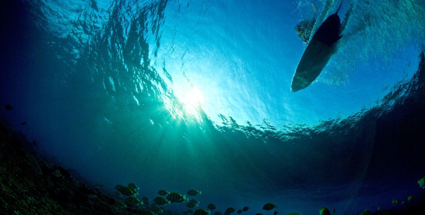 Bild unter Wasser zeigt Surfbrett auf der Oberfläche des Wassers