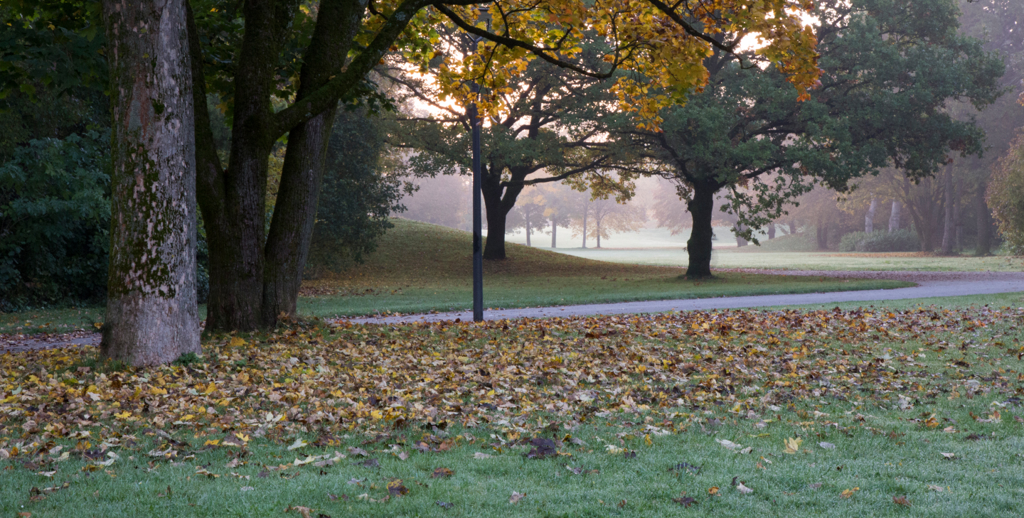 Spazierweg in einem Park