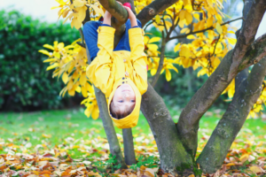 Kind klettern kopfüber an einem Baum im Herbst