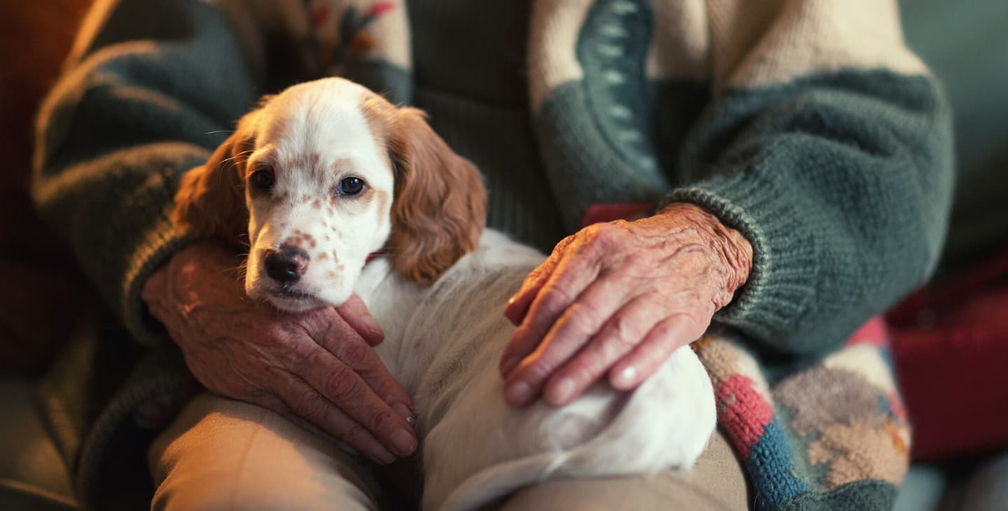 Seniorin mit Therapiehund