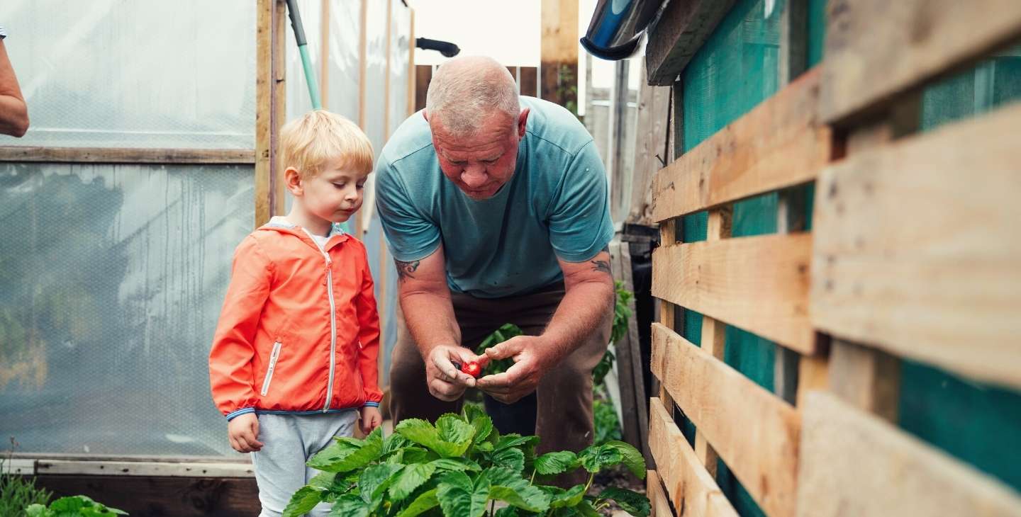 Mann mit grauen Haaren zeigt einem Kind die Ernte