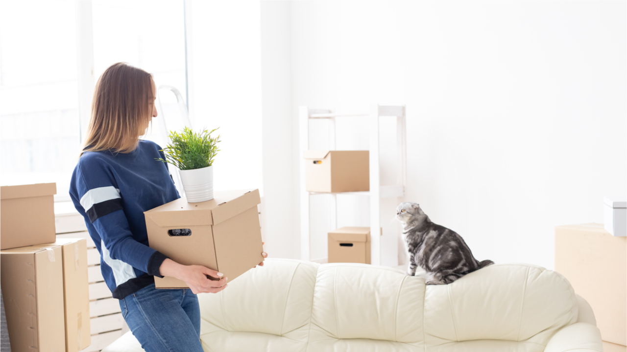Frau zieht in erste Wohnung ein mit Umzugskartons und Katze