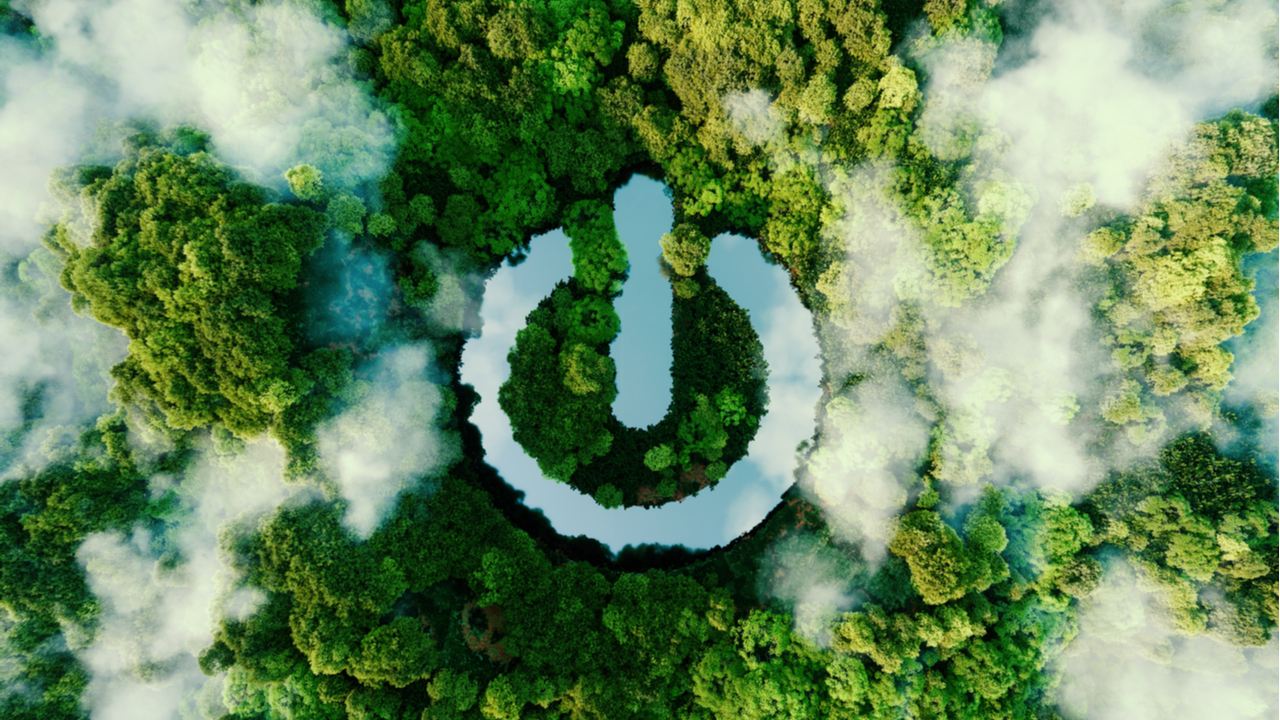 Luftaufnahme von Wald und Wolken