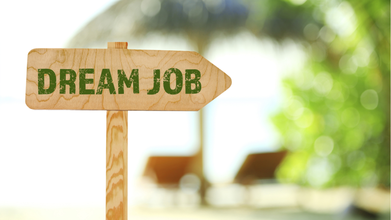 Wegweiser zum Traumjob