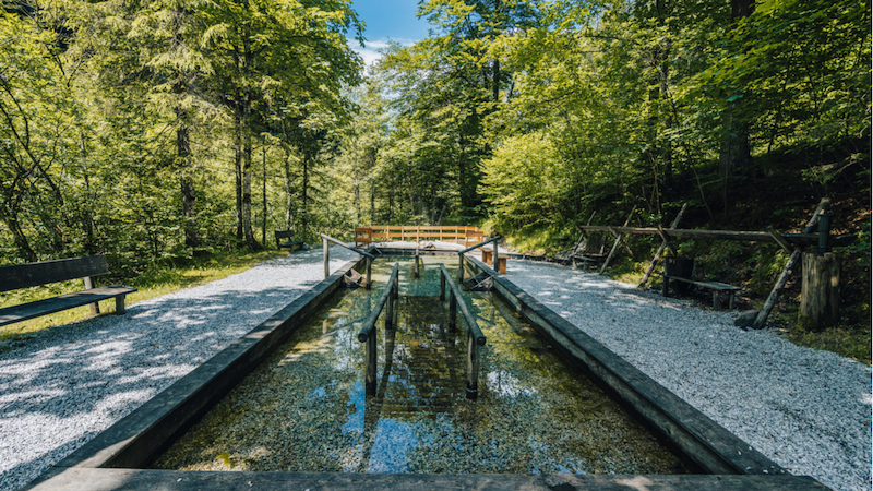 Kneipp Becken im Wald