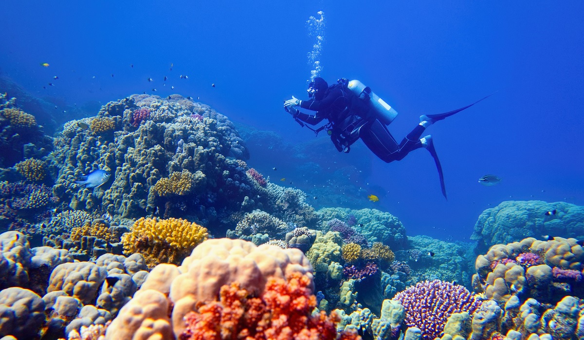 1200x700_Tauchen - LV 1871 1200x700_Tauchen