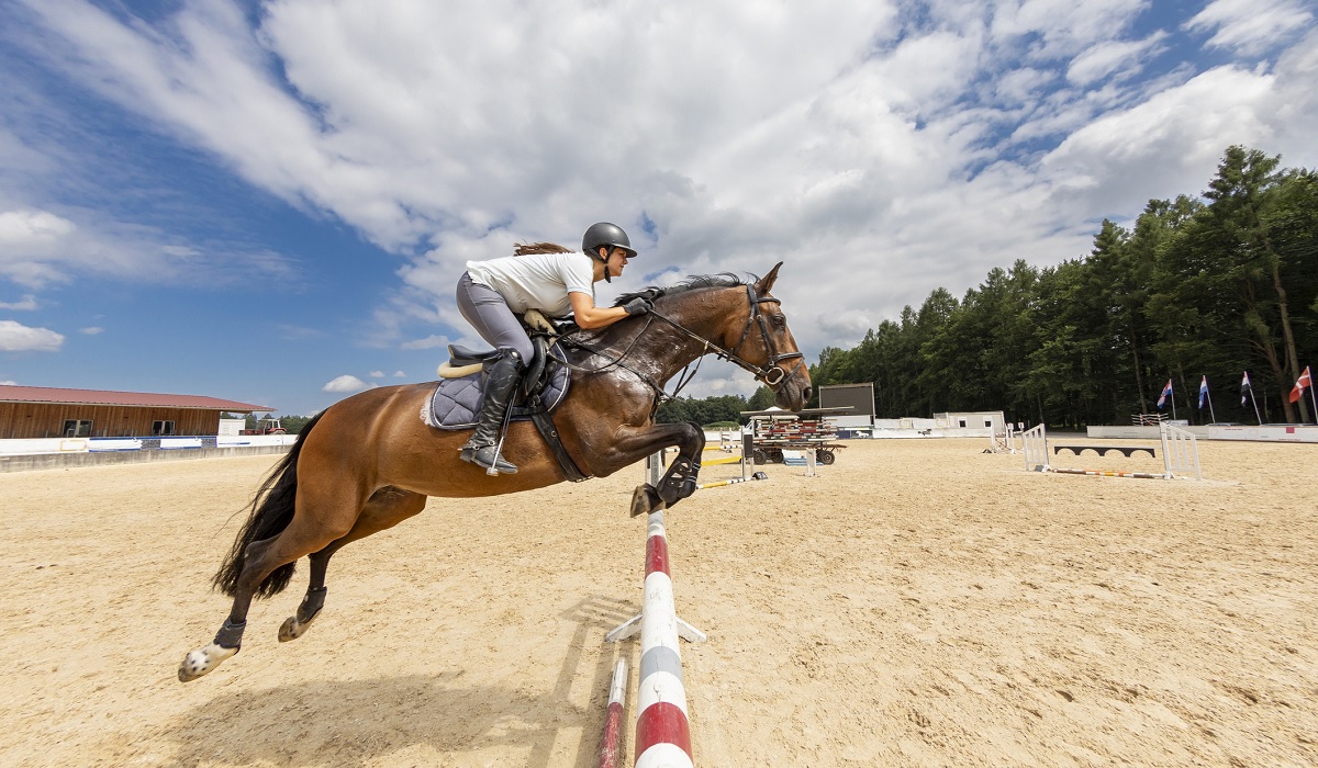 1200x700_Reiten_Magazin