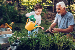 Großvater und Enkel gärtnern gemeinsam im Garten
