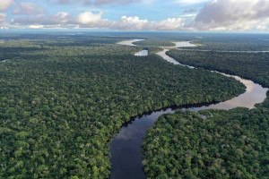 Blick aus der Vogelperspektive auf einen Fluss, der sich durch den Regenwald schlängelt